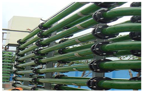 Thiết bị nuôi tảo “tích hợp”